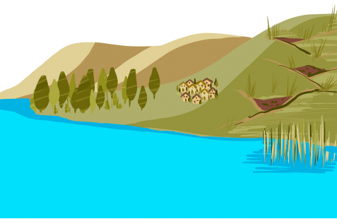 Monitoring forest and landscape restoration